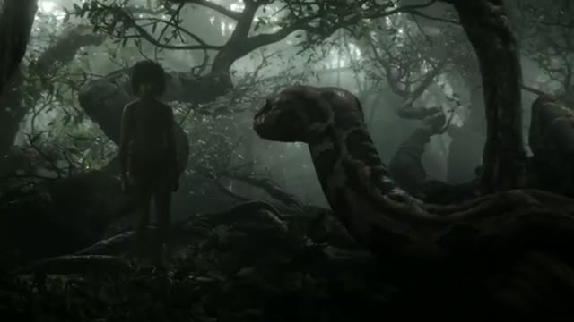 Книга джунглей: История Каа